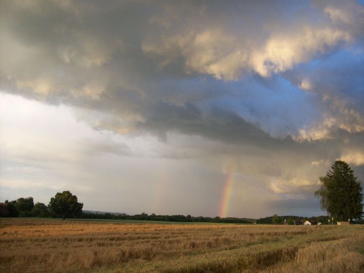 Regenbogen
